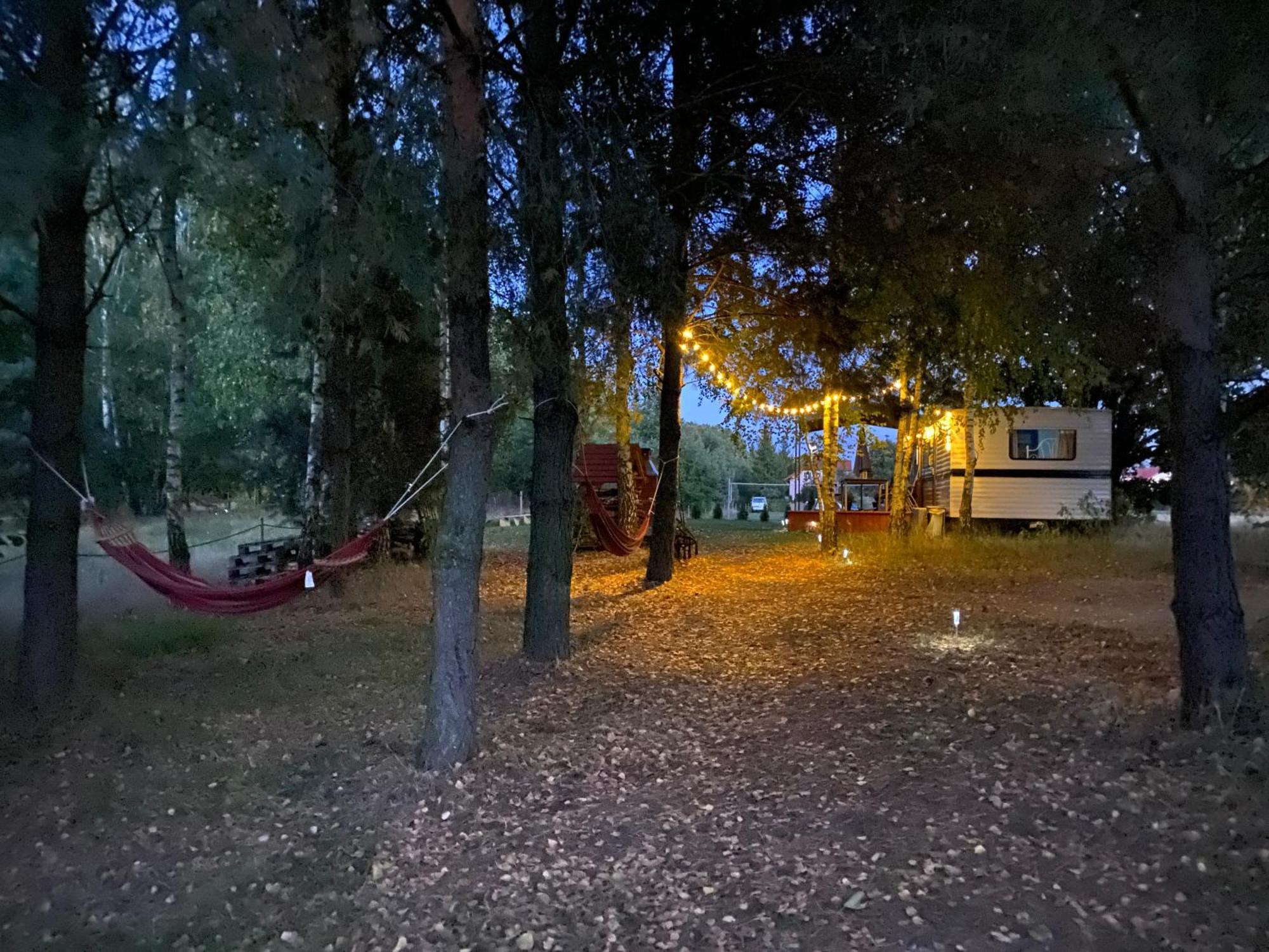 Ostoja